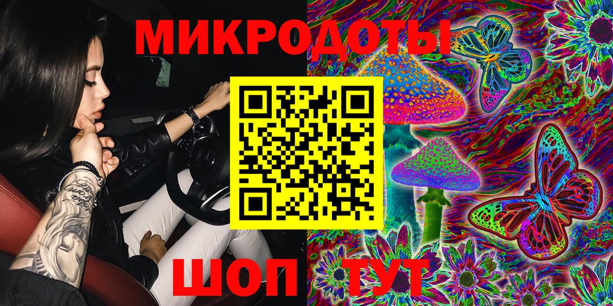 Галлюциногенные грибы Psilocybe Орёл