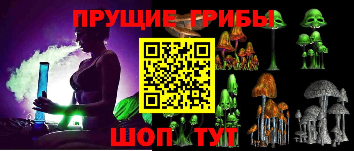 Галлюциногенные грибы Psilocybe  Вход с VPN  Орёл 